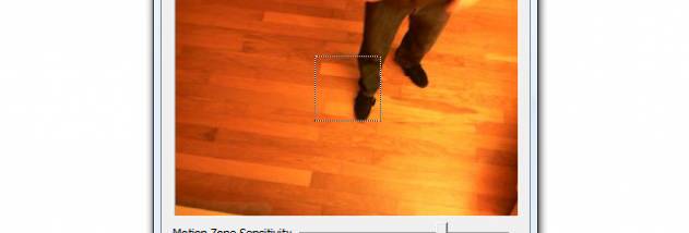 Spycam Lizard screenshot