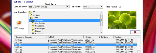 SSuite Desktop Search Engine screenshot