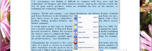 SSuite Writers D-Lite screenshot
