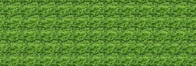 Stereogram Explorer screenshot