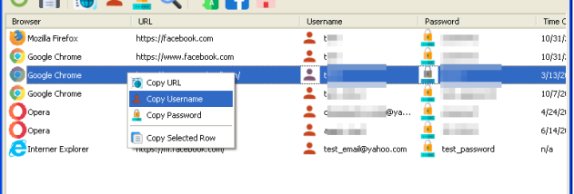 SterJo Browser Passwords screenshot