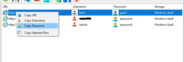 SterJo Internet Explorer Passwords screenshot