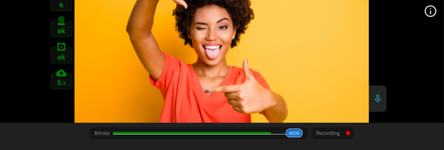 Streamster screenshot