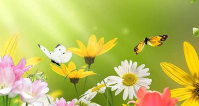 Summer Charm Screensaver screenshot