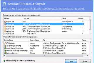 Svchost Process Analyzer screenshot