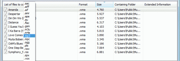 Switch Plus Audio File Format Converter screenshot