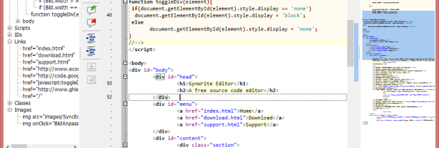 SynWrite Portable screenshot