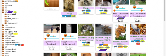 Tagstoo windows screenshot