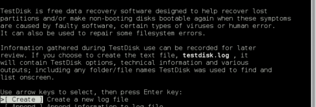 TestDisk & PhotoRec screenshot
