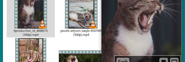 ThumbnailCity screenshot