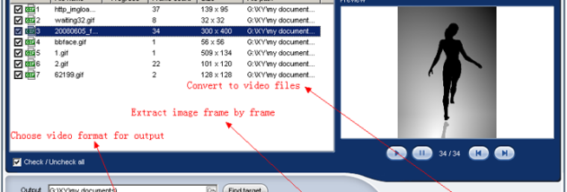 ThunderSoft GIF to Video Converter screenshot