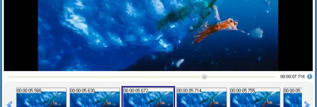 ThunderSoft Video to GIF Converter screenshot
