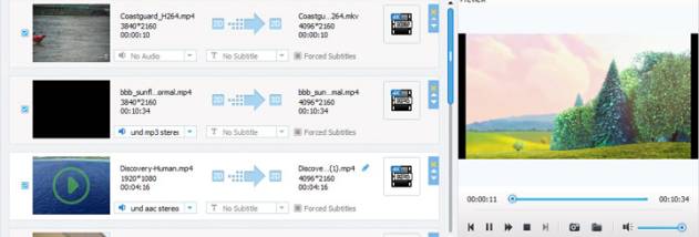 Tipard 4K UHD Converter screenshot