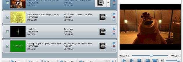 Tipard MKV Video Converter screenshot