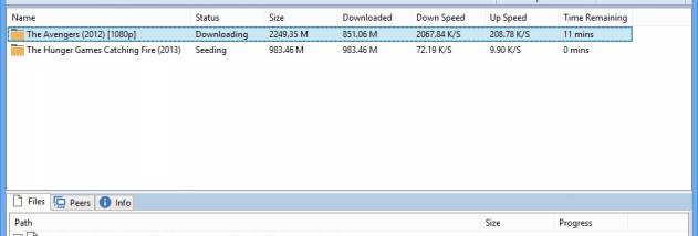 Best torrent downloader - babyraf