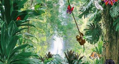 Tropical Cocktail screenshot