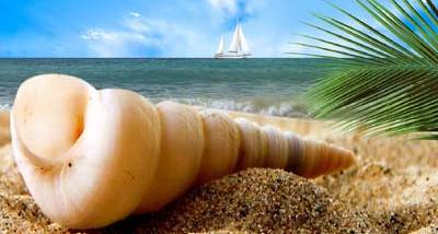 Tropical Waves Screensaver screenshot