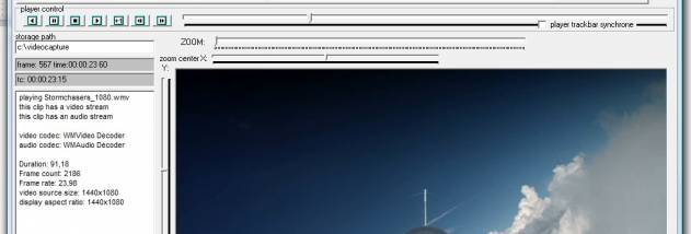 TVideoGrabber Video SDK screenshot