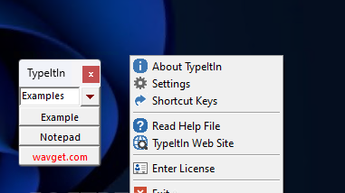 TypeItIn Professional screenshot