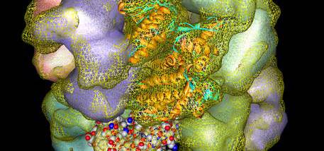 UCSF Chimera screenshot