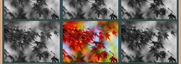 Ultra Grayscale Converter screenshot