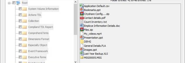 USB Files Recovery Software screenshot