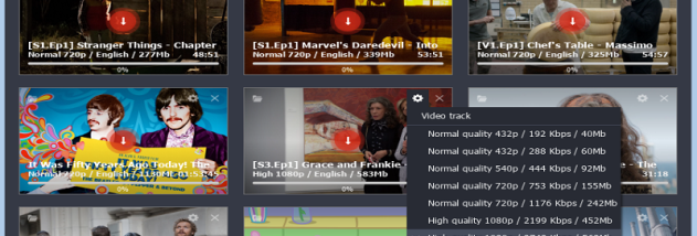 Video Downloader for Netflix screenshot