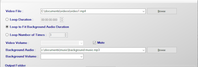 Video Looper screenshot