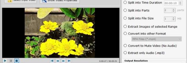 Video Splitter Software For Windows OS screenshot