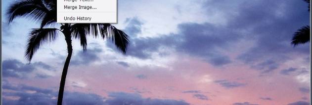 Vieas Ex Portable screenshot