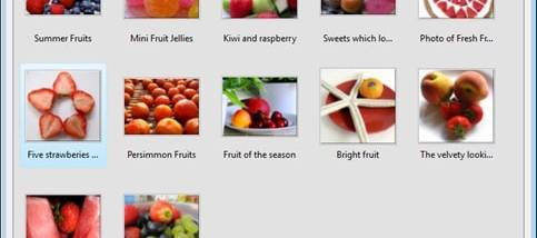 Visual LightBox Business Edition screenshot