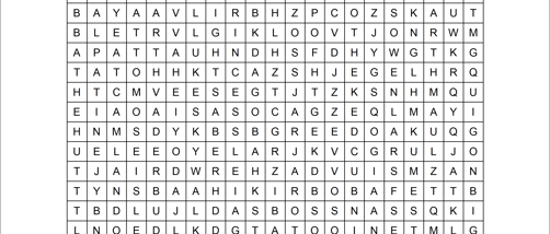 Vocabulary Worksheet Factory Word Search Edition screenshot