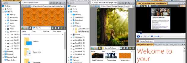 Vole Windows Expedition screenshot