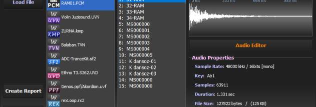 Wave Xtractor screenshot