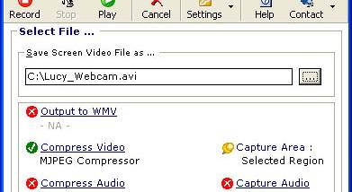 Webcam and Screen Recorder screenshot