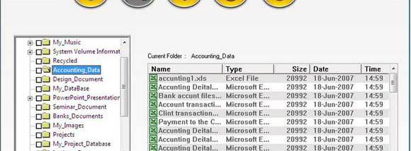 Windows FAT Partition Data Recovery Ex screenshot