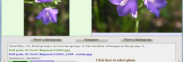 wiseduplicates screenshot