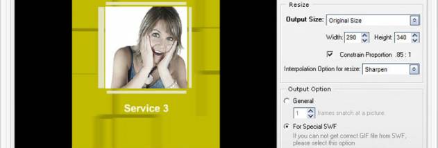 WonderFox SWF to GIF Converter screenshot