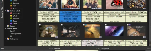 XnView MP screenshot