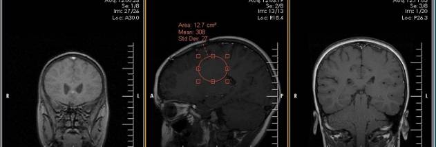 XRayline Workstation screenshot