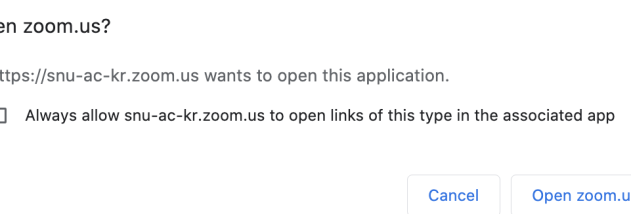 Zoom for Google Chrome screenshot