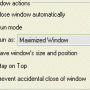 Windows 10 - Actual Window Guard 8.15 screenshot