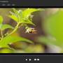 Windows 10 - AnyMP4 Blu-ray Player 6.5.60 screenshot