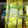 ASoftware's Music Player
