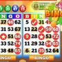 Bingo! for PC Download