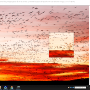 Windows 10 - BreezeBrowser Pro 1.12.4.1 screenshot