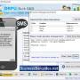 Windows 10 - Bulk SMS Customization Software 6.2.6.4 screenshot