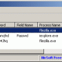 Windows 10 - BulletsPassView 64-bit 1.32 screenshot