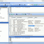 Windows 10 - Database Browser Portable 5.3.2.13 screenshot
