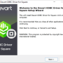 Windows 10 - Square ODBC Driver by Devart 2.1.0 screenshot